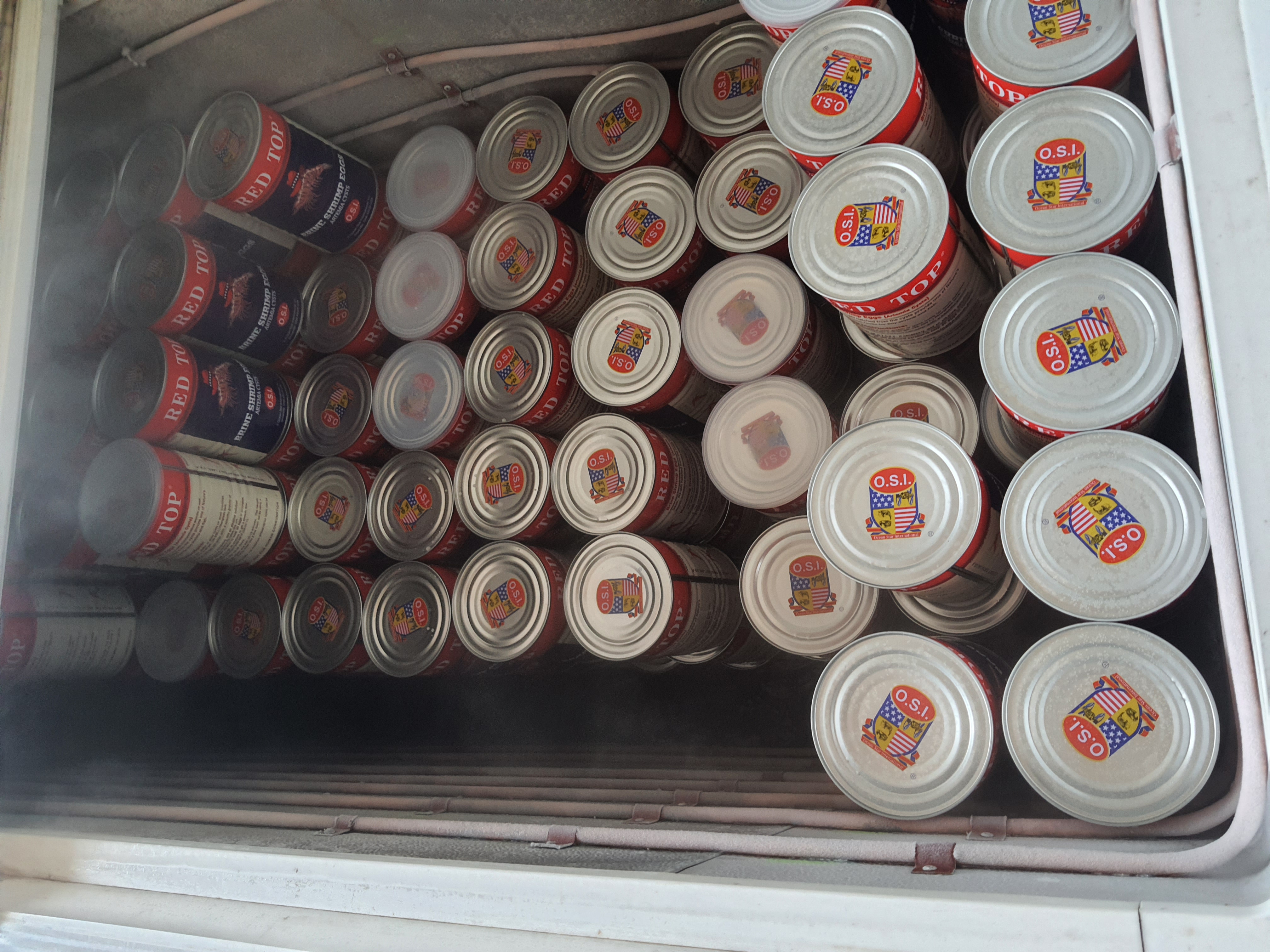 RED TOP Brineshimp Tin 454G