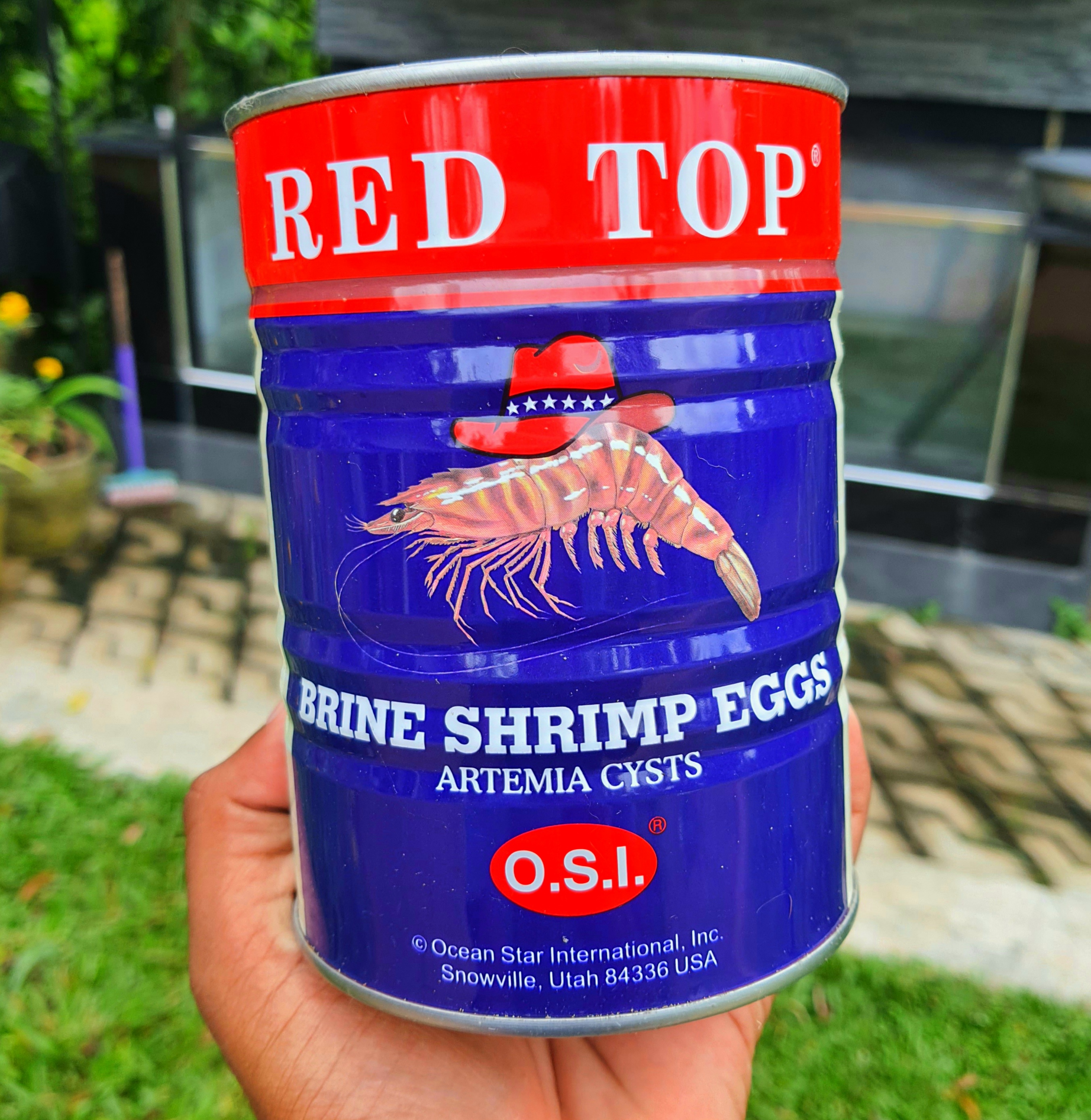 RED TOP Brineshimp Tin 454G